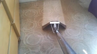 Newcastle Carpet Cleaning Company 349341 Image 5